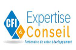 CFI D'EXPERTISE & CONSEIL  ( CFI ) 