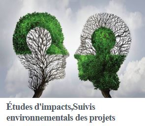 Etudes d'impacts, suivis environnementales des projets